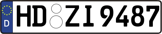 HD-ZI9487