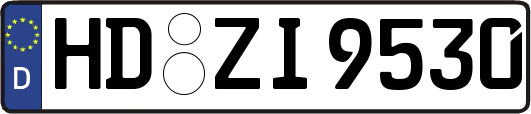 HD-ZI9530