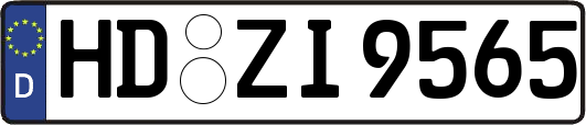 HD-ZI9565
