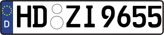 HD-ZI9655