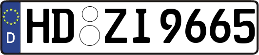 HD-ZI9665