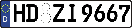 HD-ZI9667