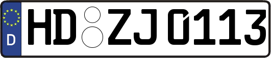 HD-ZJ0113