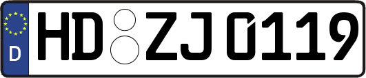 HD-ZJ0119
