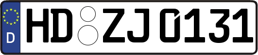 HD-ZJ0131