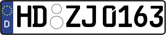 HD-ZJ0163