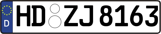 HD-ZJ8163