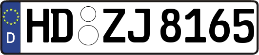 HD-ZJ8165