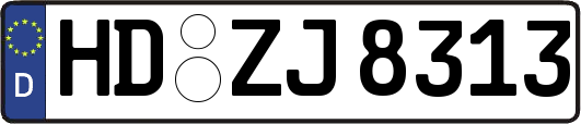 HD-ZJ8313