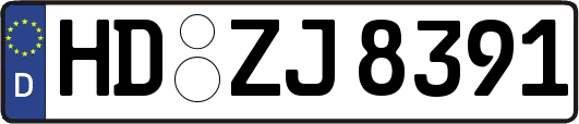 HD-ZJ8391