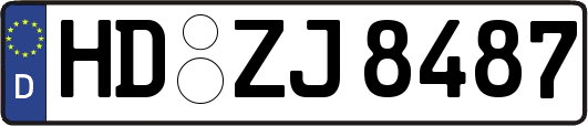 HD-ZJ8487
