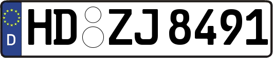 HD-ZJ8491