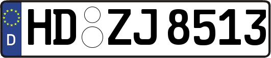 HD-ZJ8513