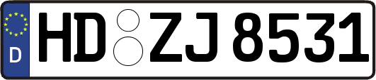 HD-ZJ8531