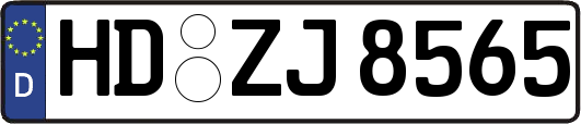 HD-ZJ8565