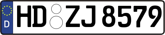 HD-ZJ8579