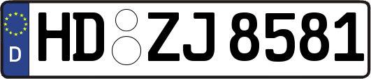 HD-ZJ8581