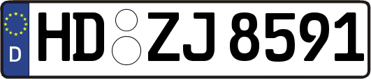 HD-ZJ8591