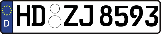 HD-ZJ8593