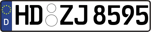 HD-ZJ8595