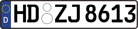 HD-ZJ8613