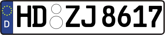 HD-ZJ8617