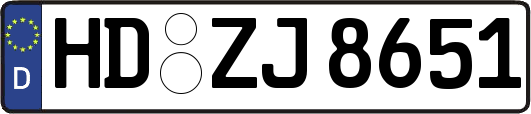 HD-ZJ8651