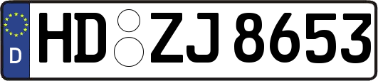 HD-ZJ8653