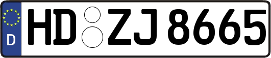 HD-ZJ8665
