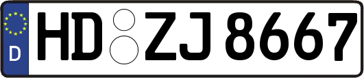 HD-ZJ8667
