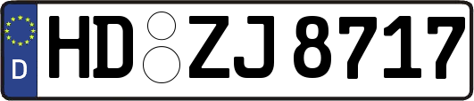 HD-ZJ8717