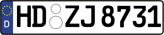 HD-ZJ8731