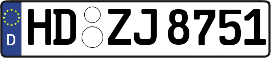 HD-ZJ8751