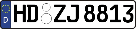HD-ZJ8813