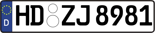 HD-ZJ8981