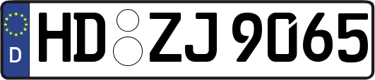 HD-ZJ9065