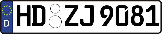 HD-ZJ9081