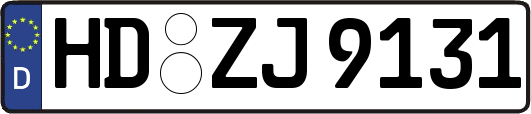 HD-ZJ9131