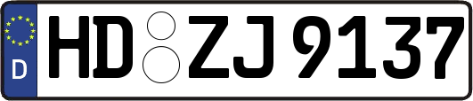 HD-ZJ9137