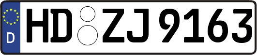 HD-ZJ9163