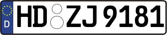 HD-ZJ9181