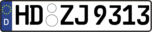 HD-ZJ9313