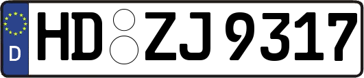 HD-ZJ9317