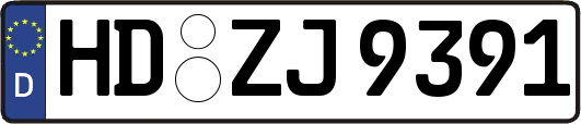 HD-ZJ9391