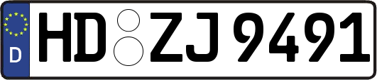 HD-ZJ9491