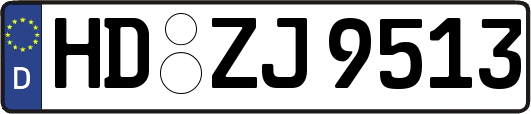 HD-ZJ9513
