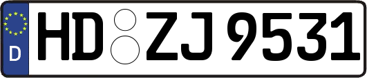 HD-ZJ9531
