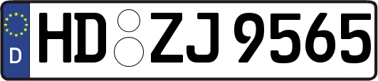 HD-ZJ9565