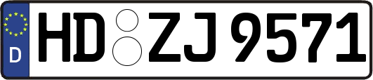 HD-ZJ9571