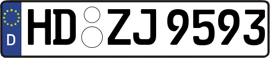 HD-ZJ9593